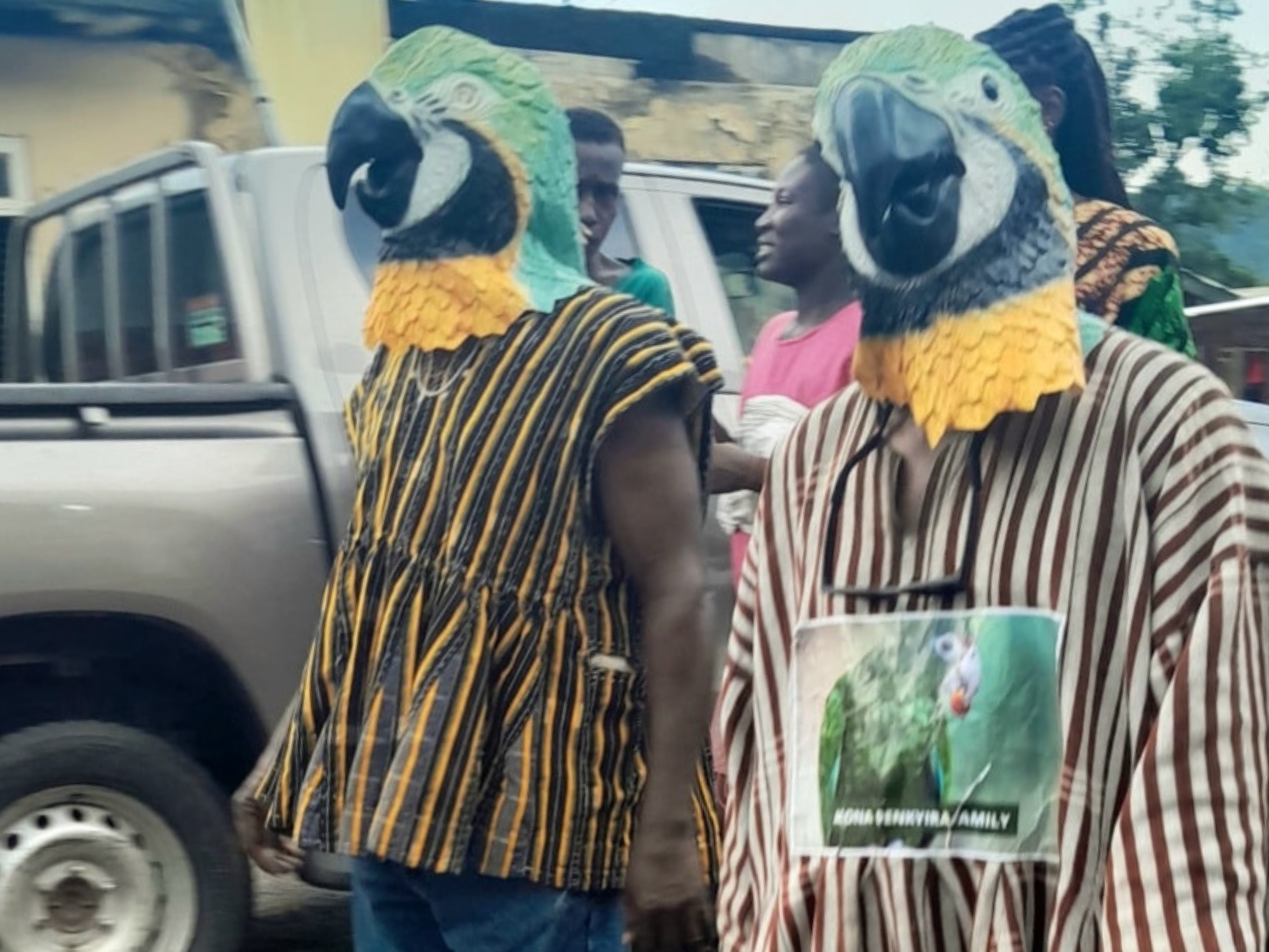 Traditional music and dance